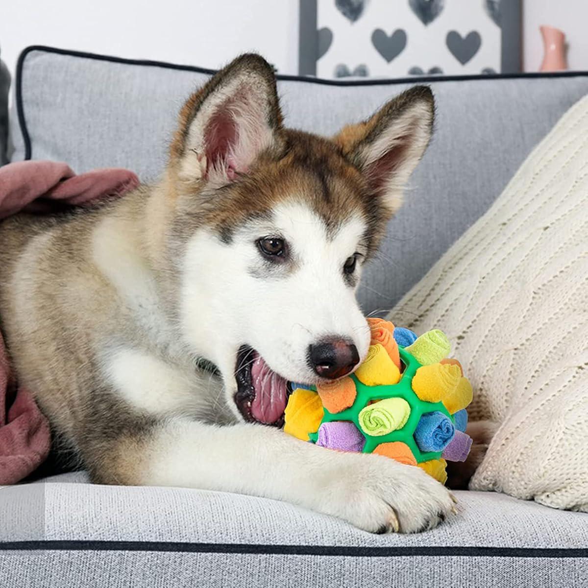SnuffleMaster - Interactive Treat Game
