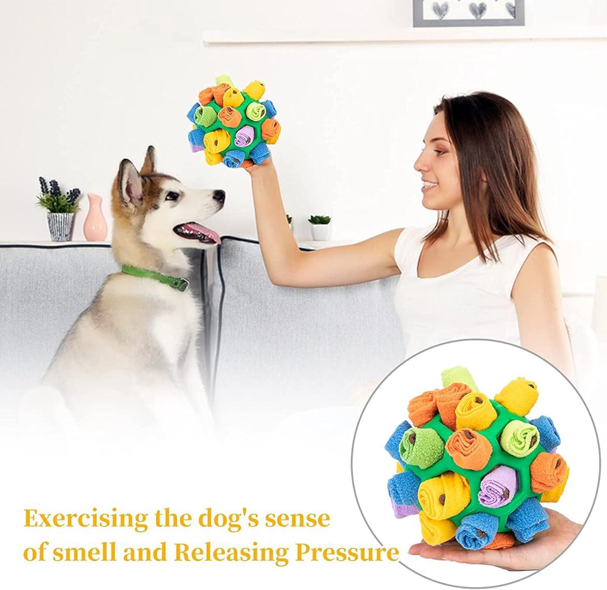 SnuffleMaster - Interactive Treat Game